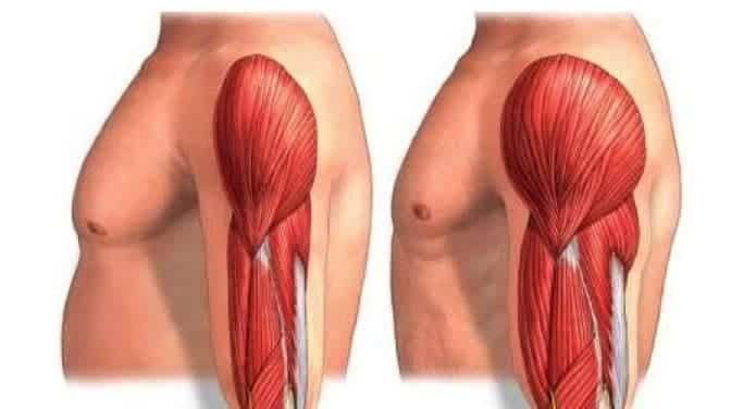 💪 Hipertrofia não é apenas ganhar músculos, é construir força, disciplina e evolução todos os dias.
